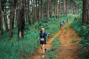 BIB: 
                            <button type="button" onclick="openModal(25710240)" class="btn btn-primary btn-sm float-right btn-popup" data-toggle="modal" data-target=".modal-high-quality">
                        <i class="fas fa-shopping-cart"></i> Add to Cart
                    </button>
                                            <button type="button" onclick="isThisMe(25710240, true)" class="btn btn-success btn-sm float-right btn-popup btn-isme hidden" data-toggle="tooltip" data-placement="bottom" title="นี่คือรูปของคุณใช่ไหม คลิกที่นี่เพื่อเอาเข้าอัลบั้ม">
                        <i class="fas fa-plus"></i> Add to album
                    </button>
                    <button type="button" onclick="isThisMe(25710240, false)" class="btn btn-warning btn-sm float-right btn-popup btn-isnotme hidden">
                        <i class="fas fa-ban"></i> Remove from album
                    </button>